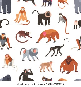 Seamless pattern with different species of monkeys apes, baboons, chimpanzees and macaques. Endless backdrop with tropical jungle animals. Colorful flat vector illustration on white background