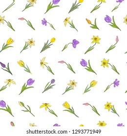 Seamless pattern with different spring flowers. Isolated elements on a white background. Vector hand drawing illustration.