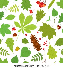 Seamless pattern of different tree leaves - oak, chestnut, birch, Rowan, linden, jasmine, lilac, maple, willow, poplar, sycamore, Rowan berry bunch, acorn, pine cone on white background.