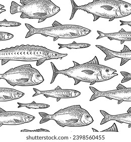 Seamless pattern different types of fish. Tilapia, dorado, tuna, salmon, anchovy, eel, sardine, sturgeon, herring. Isolated on white. Vintage black vector engraving