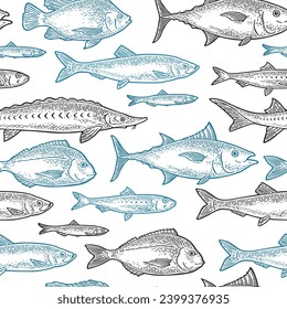 Seamless pattern different types of fish. Tilapia, dorado, tuna, salmon, anchovy, eel, sardine, sturgeon, herring. Isolated on white. Vintage black and blue vector engraving