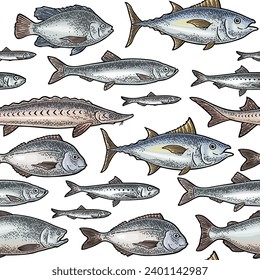 Seamless pattern different types of fish. Tilapia, dorado, tuna, salmon, anchovy, eel, sardine, sturgeon, herring. Isolated on white. Vintage color vector engraving