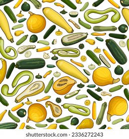Seamless pattern with different types of of summer squash. Cucurbita. Cucurbitaceae. Fruits and vegetables. Isolated vector illustration. Art.