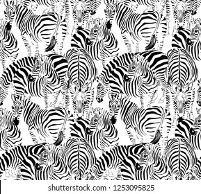Seamless pattern with a different wild Zebras. Textile composition, hand drawn style print. Vector black and white illustration.