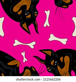 seamless pattern doberman muzzle on pink background. Fabric, paper, textile design