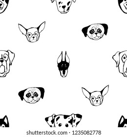 Seamless pattern with Dog breeds. Bulldog, Husky, Alaskan Malamute, Retriever, Doberman, Poodle, Pug, Shar Pei, Dalmatian. Hand drawn black and white vector illustration Doodle style design