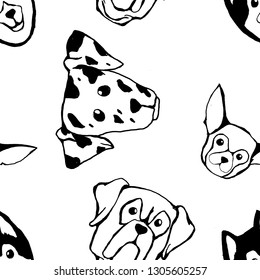 Seamless pattern with Dog breeds. Bulldog, Husky, Alaskan Malamute, Retriever, Doberman, Poodle, Pug, Shar Pei, Dalmatian. Hand drawn black and white vector illustration Doodle style design