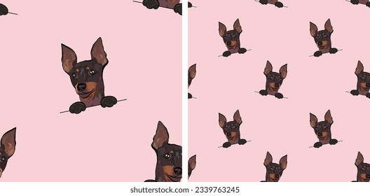 Seamless pattern with dog in a pocket, with paws only. Pink Packaging, textile, decoration, wrapping paper. Trendy hand-drawn funny English toy terrier dogs, square pattern. Pattern with dog faces.