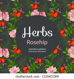 Seamless pattern with dog rose: branch of  rose hip, berries, rosehip flowers and leaves.  Vector  hand drawn illustration.