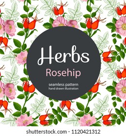 Seamless pattern with dog rose: branch of  rose hip, berries, rosehip flowers and leaves.  Vector  hand drawn illustration.