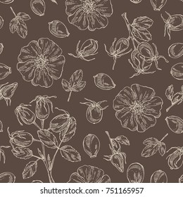 Seamless pattern with dog rose: branch of sea rose hip, dog rose berries, rosehip flowers and leaves. Dog rose. Cosmetic and medical plant. Vector hand drawn illustration. 