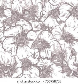 Seamless pattern, dog-rose flowers. Vectoir illustration