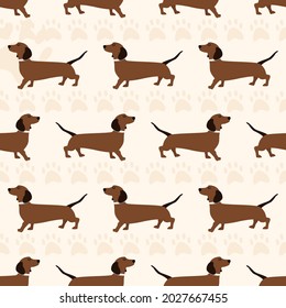 Seamless pattern with dogs of the Dachshund breed. Vector illustration flat with a pet cute animal on a beige background.