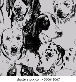 Seamless pattern with dogs. Dog breeds. Labrador Retriever, zinenhund. Drawing by hand in vintage style.