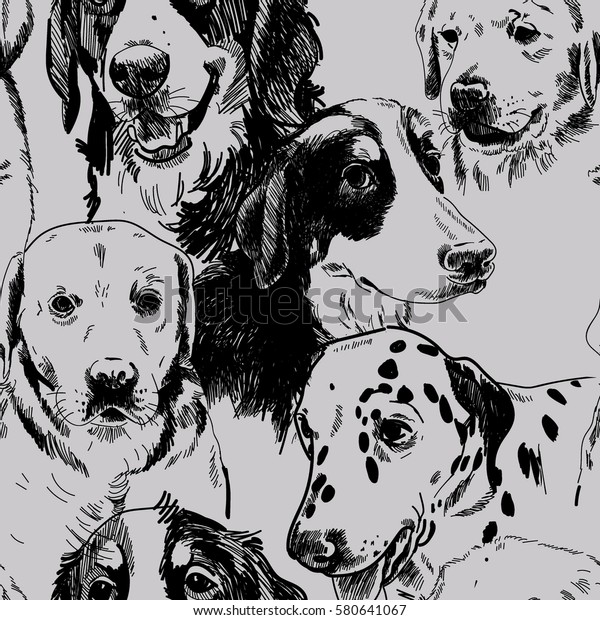 Seamless pattern with dogs. Dog breeds. Labrador Retriever, zinenhund. Drawing by hand in vintage style.