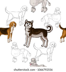 Seamless pattern with dogs. Hand drawn dogs sketches.Vector illustration