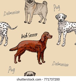 Seamless pattern with dogs. Hand Drawn Pug Dogs Sketches.Vector illustration