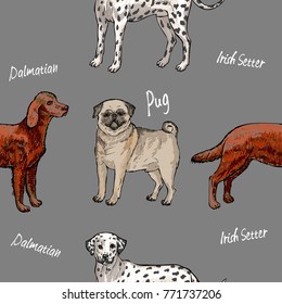 Seamless pattern with dogs. Hand Drawn  Sketches.Vector illustration
