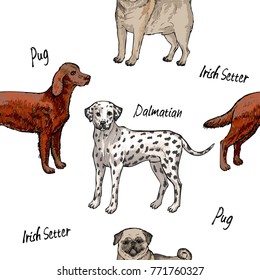 Seamless pattern with dogs. Hand Drawn Pug Dogs Sketches.Vector illustration