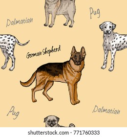 Seamless pattern with dogs. Hand Drawn Pug Dogs Sketches.Vector illustration