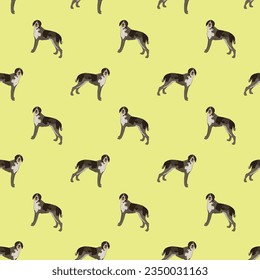 Seamless pattern with dogs, Wirehaired Pointing Griffon breed, holiday texture. Dog Packaging yellow wrapping paper. Trendy hand-drawn funny breed wallpaper. Fun seamless happy cute side view dogs.