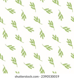 Seamless pattern of doodle  Christmas tree branches on isolated background. Holiday design for Christmas home decor, holiday greetings, Christmas and New Year celebration. 