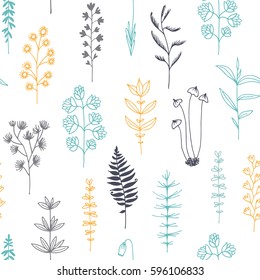 Seamless pattern with doodle flowers and herbs, plants, vector floral background