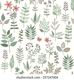 Seamless pattern with doodle herbs and flowers.