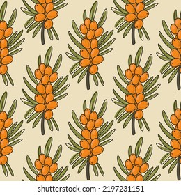 Seamless pattern with doodle sea buckthorn branch. Vector orange berry.