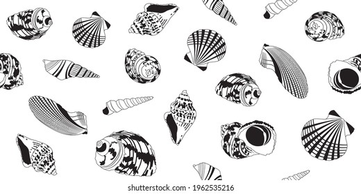 Seamless pattern with doodle-style shells. Black and white illustration of shells. Set of insulated shells