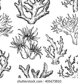 seamless pattern doodling, marine theme, corals, shellfish, graphic design, vintage wallpaper