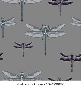 Seamless pattern with 
 dragonflies. Vector illustration.