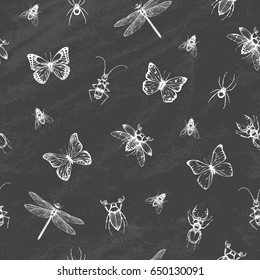 Seamless Pattern with  dragonfly, beetle, stag beetle, spider, butterfly, fly on the blackboard. Summer background. Vector illustration.
