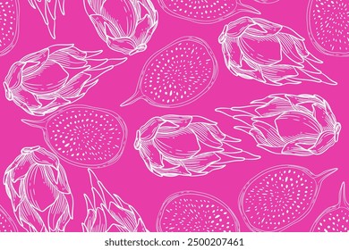 seamless pattern dragonfruit vector drawing