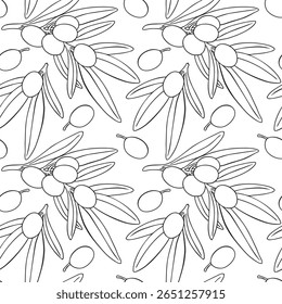 Patrón sin fisuras que dibuja el Vector de la rama de las frutas de olivo. Ilustración floral pintada a mano olivas ramas de árboles frutales hojas de fondo. Dibujos de comida. Follaje comestible. Para la tela, envolviendo el menú de la decoración