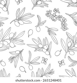 Seamless pattern drawing olive oil fruits branch vector. Hand painted floral illustration olives fruit tree branches leaves background. Drawings food. Edible foliage. For fabric wrapping decor menu