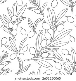 Seamless pattern drawing olive oil fruits branch vector. Drawings food. Hand painted floral illustration olives fruit tree branches leaves background. Edible foliage. For fabric wrapping decor menu