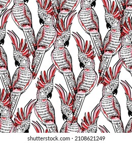 Seamless pattern drawing with tropical birds doodle black and white image of toucan vector sketch Illustration .Design for fashion , fabric, textile, wallpaper, wrapping and all prints on white

