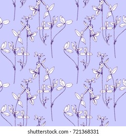 Seamless pattern with drawing wild plants, herbs and flowers, monochrome botanical illustration in vintage style, vector floral background