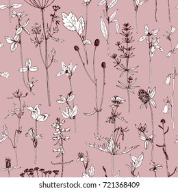 Seamless pattern with drawing wild plants, herbs and flowers, monochrome botanical illustration in vintage style, vector floral background