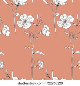 Seamless pattern with drawing wild plants, herbs and flowers, monochrome botanical illustration in vintage style, vector floral background