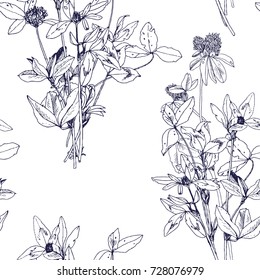 Seamless pattern with drawing wild plants, herbs and flowers, monochrome botanical illustration in vintage style, vector floral background