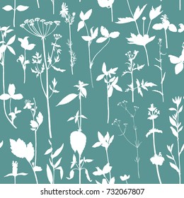 Seamless pattern with drawing wild plants, herbs and flowers, monochrome botanical illustration in vintage style, vector floral background