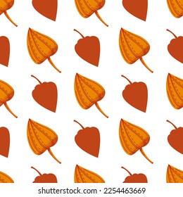 Seamless pattern with drawn colorful physalis. Autumn background. Vector illustration.
Good for textile design, wrapping paper, wallpaper.