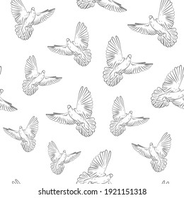 Seamless pattern of drawn flying black and white pigeons on a white background. Flight of white doves.