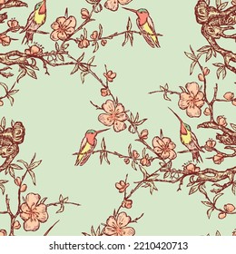 Seamless pattern of drawn hummingbirds on blossoming cherry tree branches