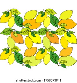 Patrón sin foco con limones dibujados. Cítricos de verano tropical con fondo de estilo grabado. Ilustración vectorial para diseño web o impresión.