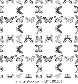 Patrón sin fisuras de varias mariposas dibujadas