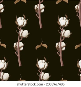 Seamless pattern with dried cotton flowers. Vector