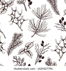 Seamless pattern with dry twigs, fir branches, cedar, mistletoe, thuja, alder cones and holly berry plant. Hand drawn vector illustration.